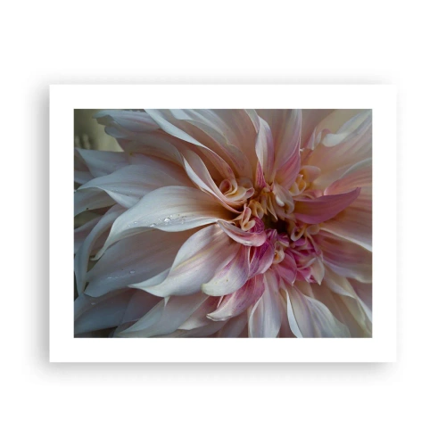Poster - Blooming Freshness - 50x40 cm