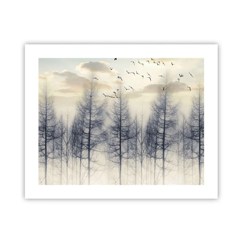 Poster - Spirits of the Forest - 50x40 cm