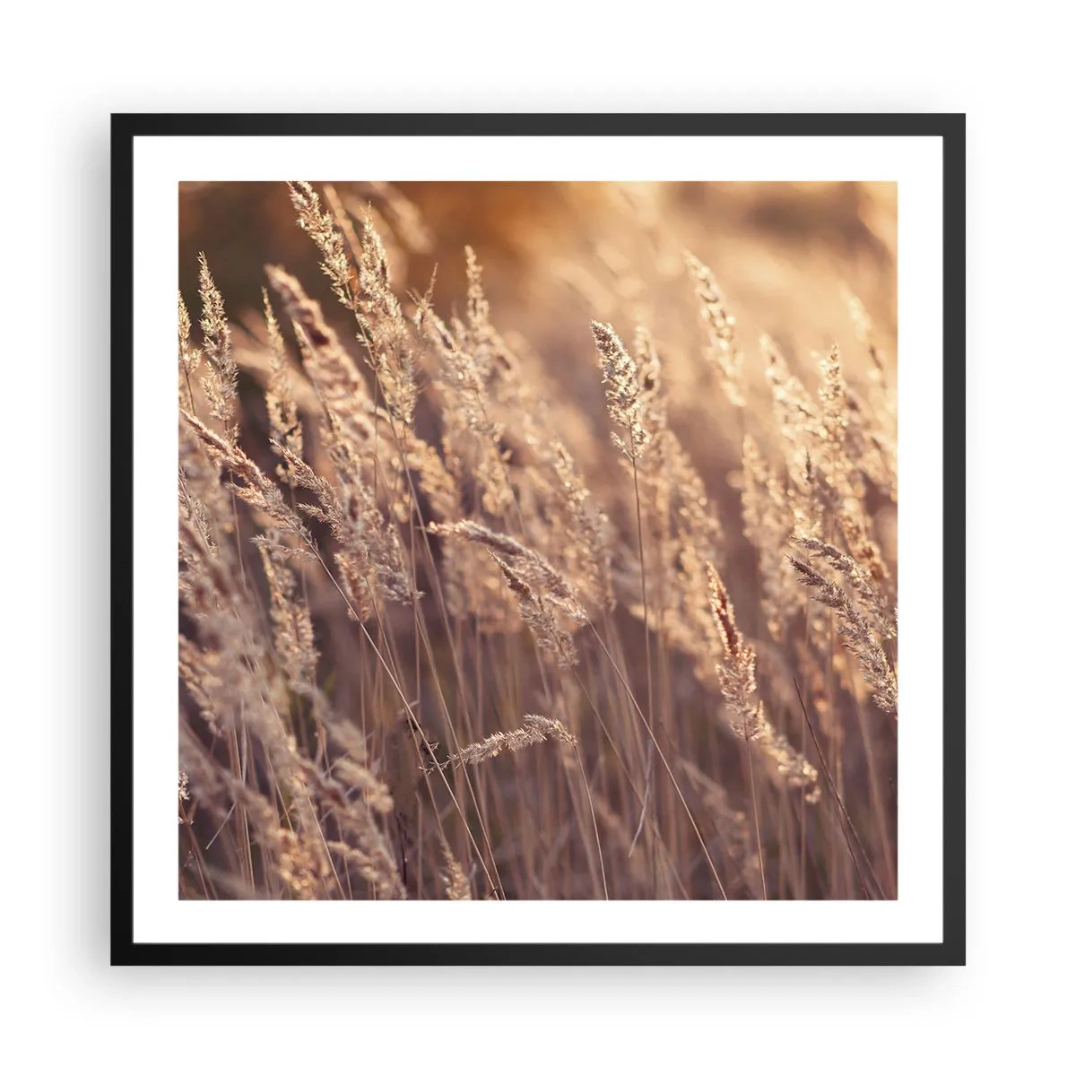 Poster in black frame - Ready to Welcome Autumn - 60x60 cm