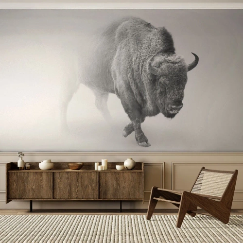 Photo Wallpaper Premium Canvas - King of the Prairie - Wisent, Animals, Bison - 450x315 cm