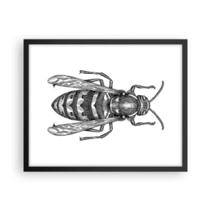 Poster in black frame - From Insect Planet - 50x40 cm