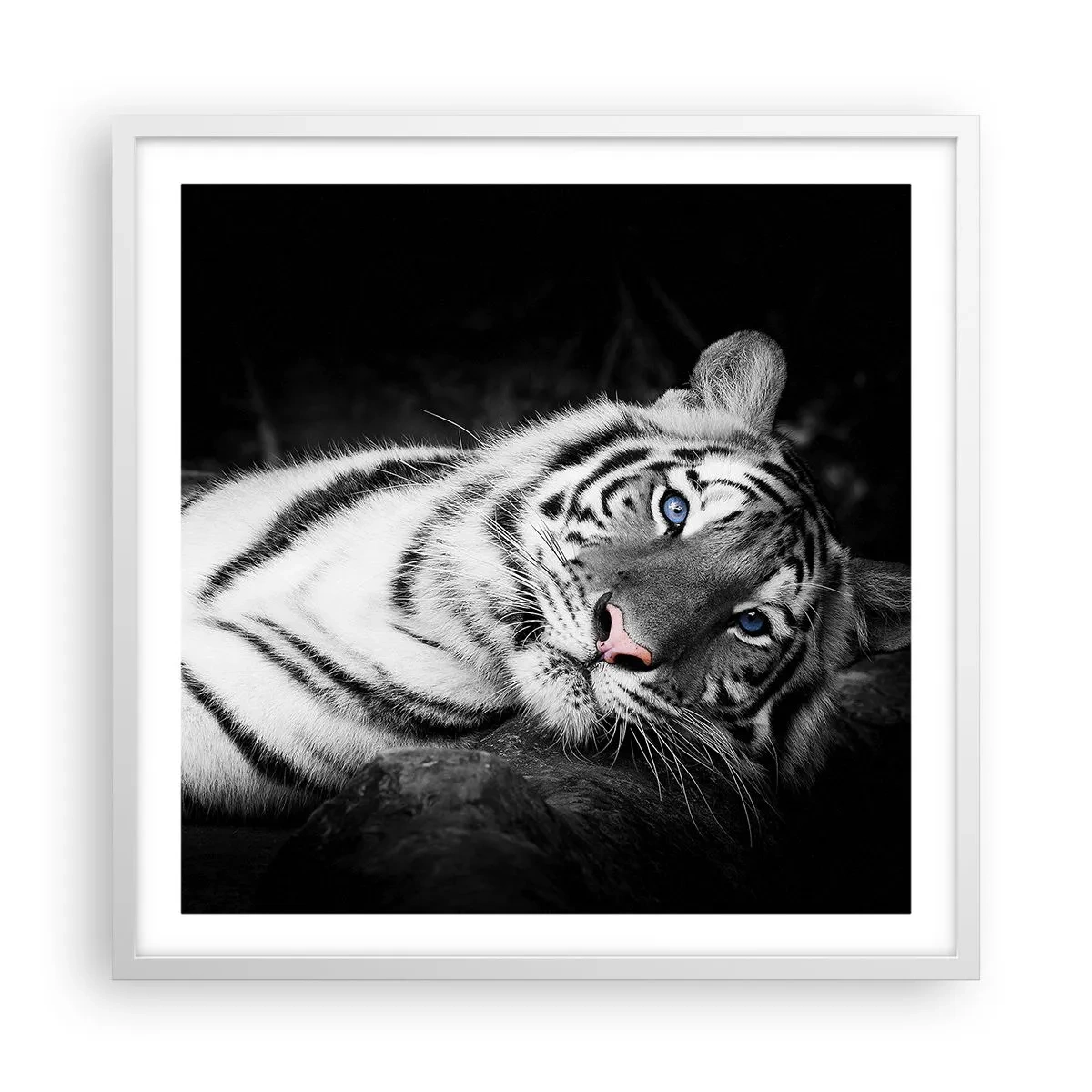 Poster in white frmae - Wilderness and Calm - 60x60 cm