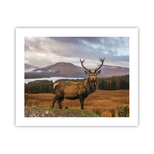 Poster - Majesty of Nature - 50x40 cm