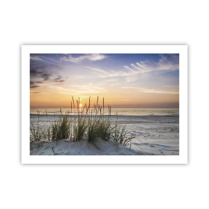 Poster - Look, Think, Feel - 70x50 cm