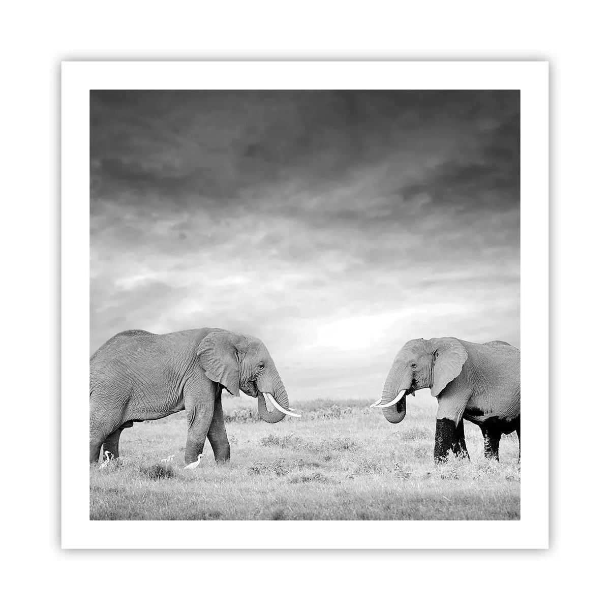 Poster - Grey Is Beautiful - 60x60 cm