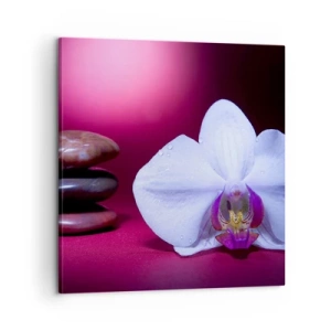 Canvas picture - Study of Freshness in Purple - 60x60 cm