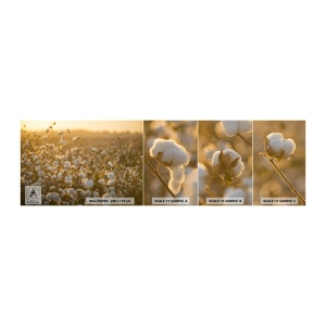 Photo Wallpaper Sample Self-Adhesive Deluxe Sticker - Fluffy Field - Cotton Field, Asia, Nature - 100x30 cm
