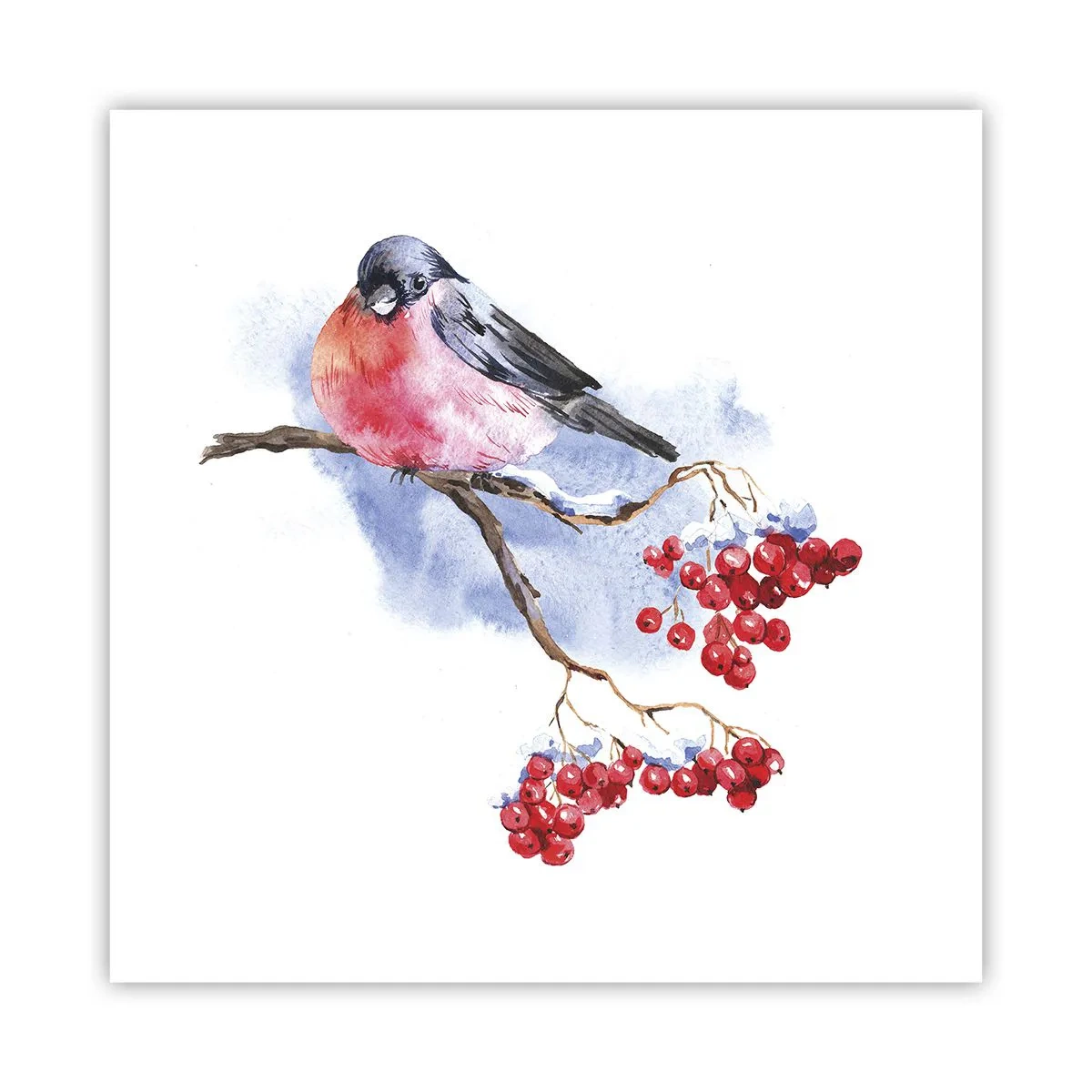 Poster - Winter in Colour - 60x60 cm