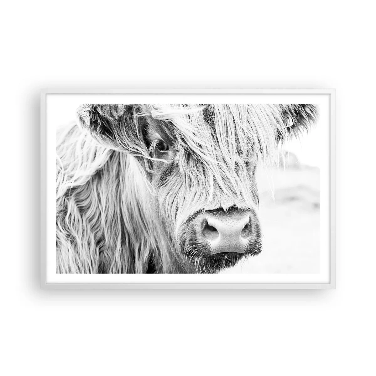 Poster in white frmae - Scottish Wilderness - 91x61 cm