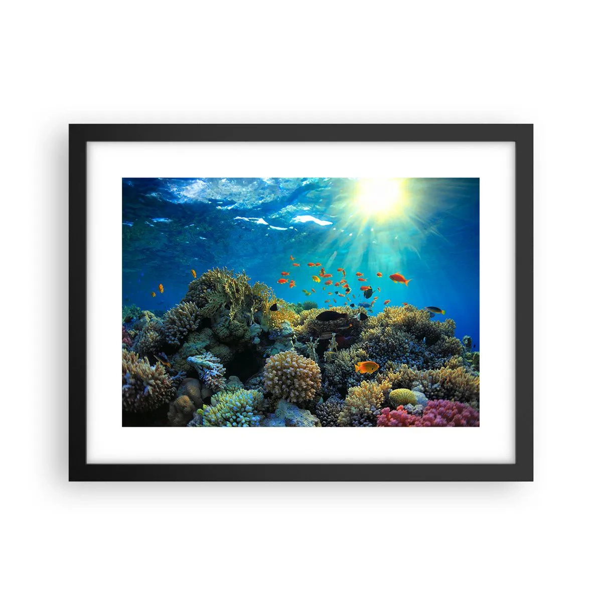 Poster in black frame - Underwater Treasures - 40x30 cm