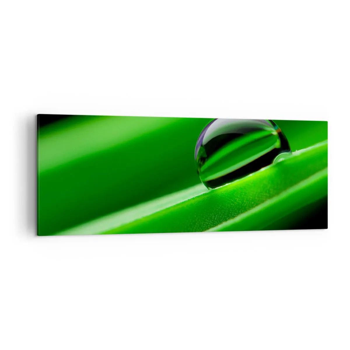 Canvas picture - Life from a Close-Up - 140x50 cm