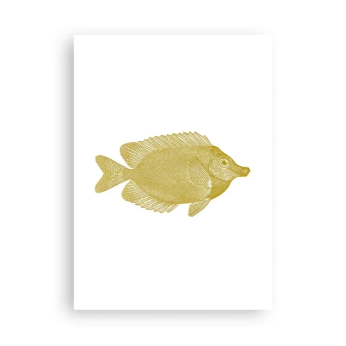 Poster - Just a Fish - 50x70 cm