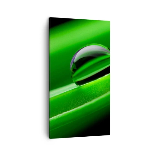 Canvas picture - Life from a Close-Up - 45x80 cm