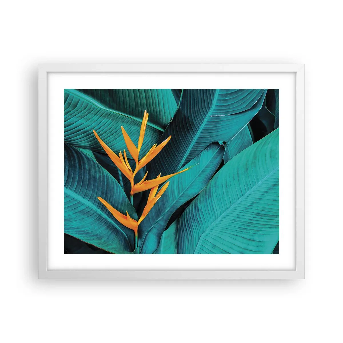 Poster in white frmae - Flower of Eden - 50x40 cm