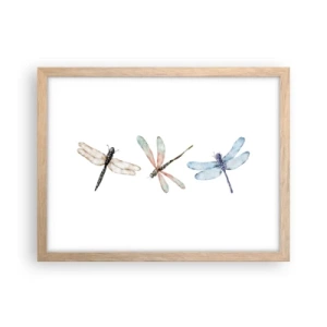 Poster in light oak frame - Lightness of Dragonflies  - 40x30 cm