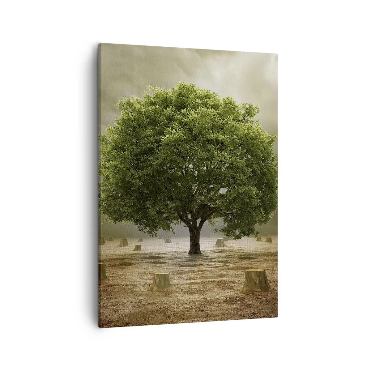 Canvas picture - Entire Hope - 50x70 cm