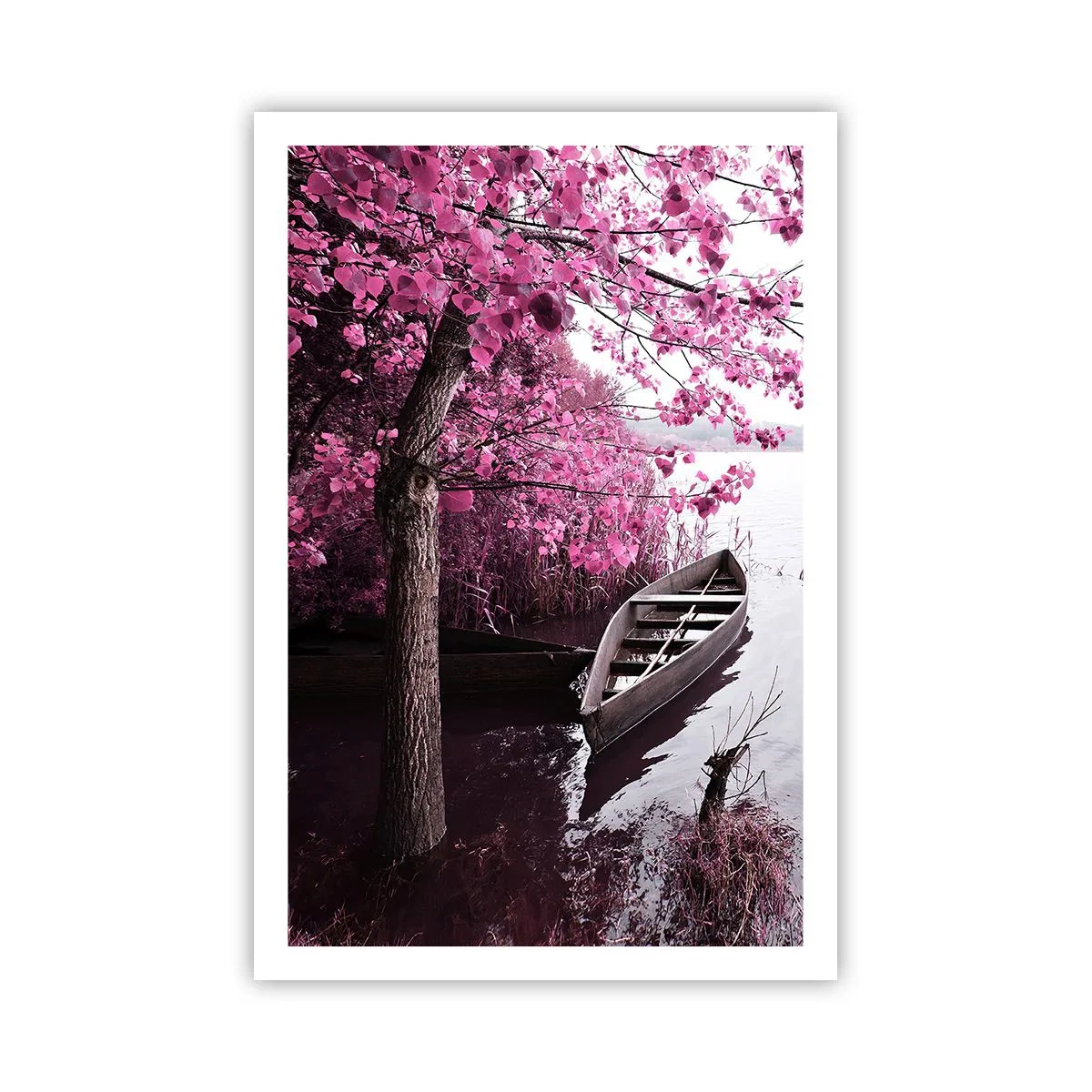 Poster - In Pink Silence - 61x91 cm