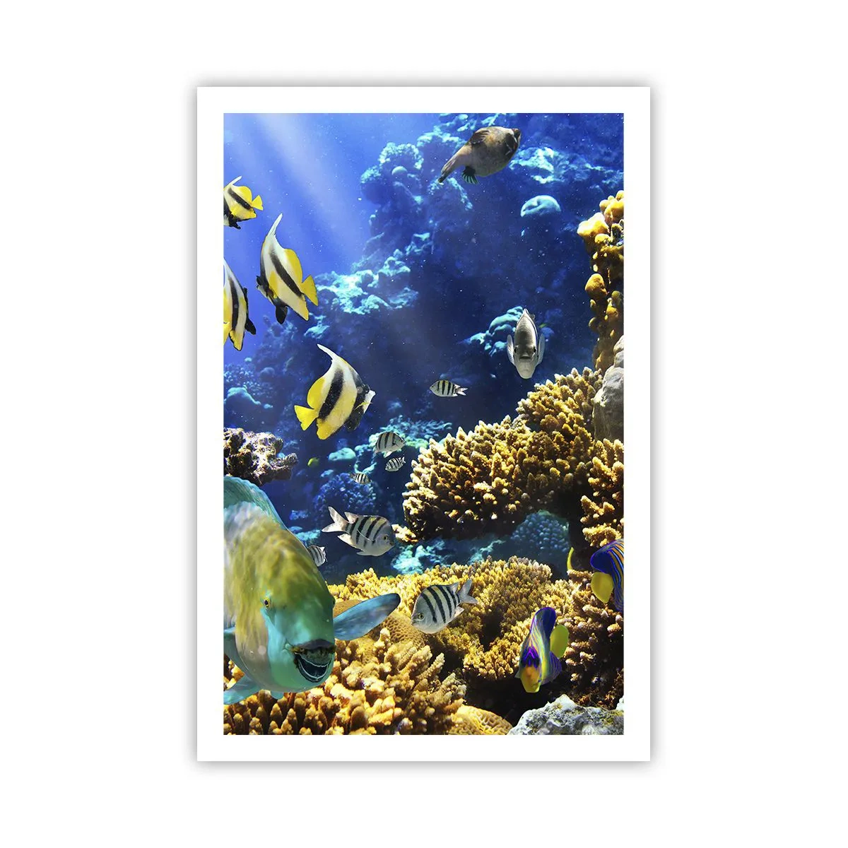 Poster - Big Traffic to Holiday Destination - 61x91 cm