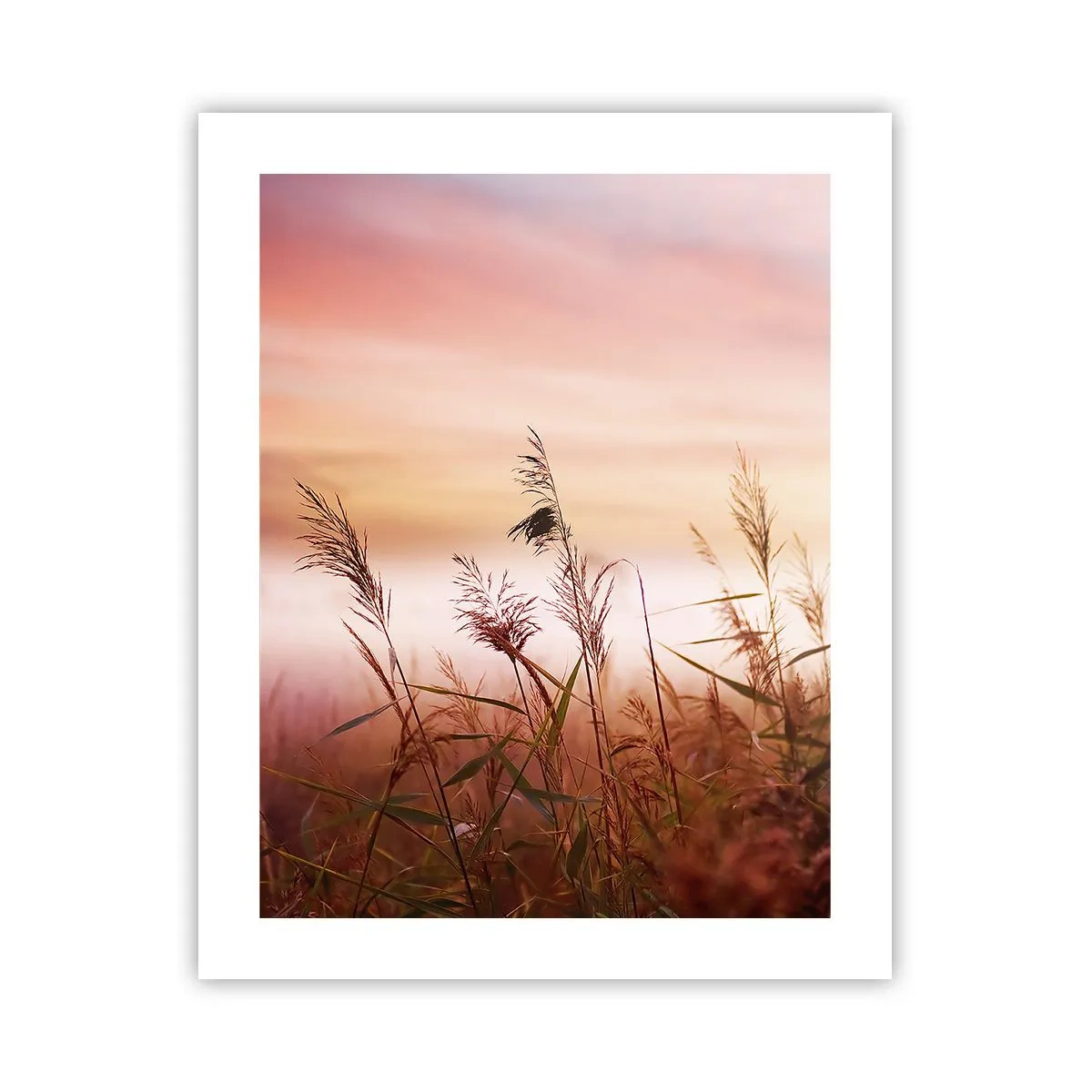 Poster - Blowing in the Wind - 40x50 cm