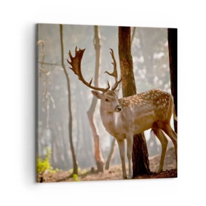 Canvas picture - Light of Youth - 60x60 cm