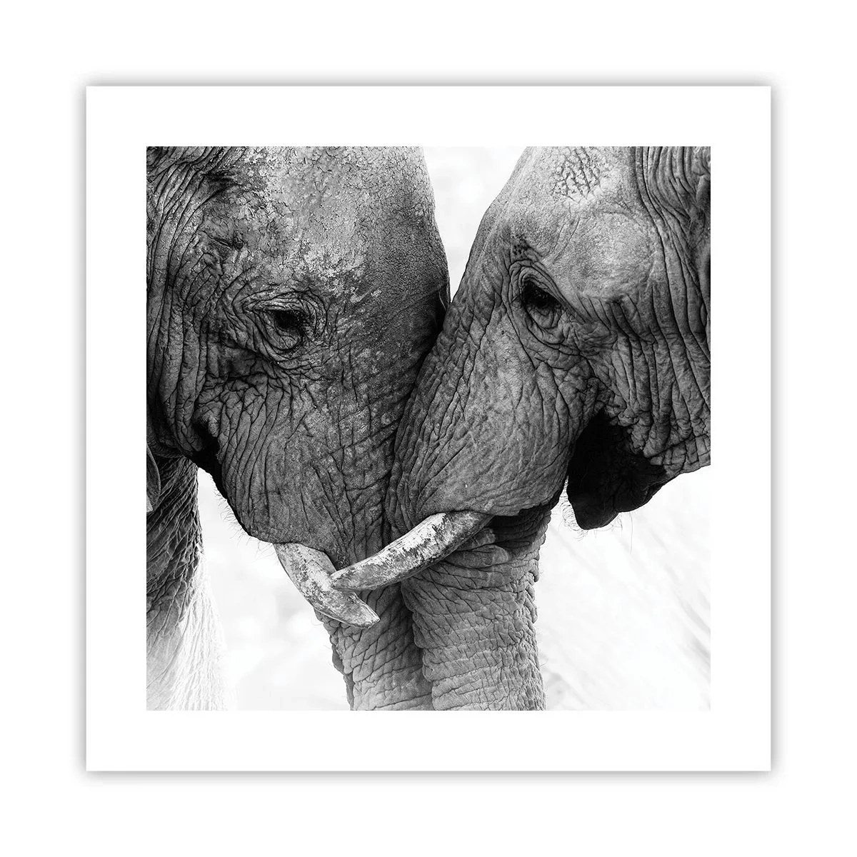 Poster - Hearty Confession - 40x40 cm