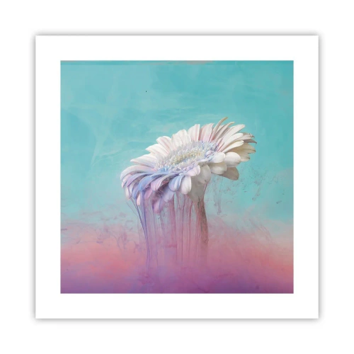 Poster - Afterlife of Flowers - 40x40 cm