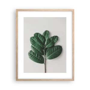 Poster in light oak frame - Drawing of Nature Itself - 40x50 cm