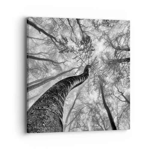 Canvas picture - Race for the Light - 40x40 cm