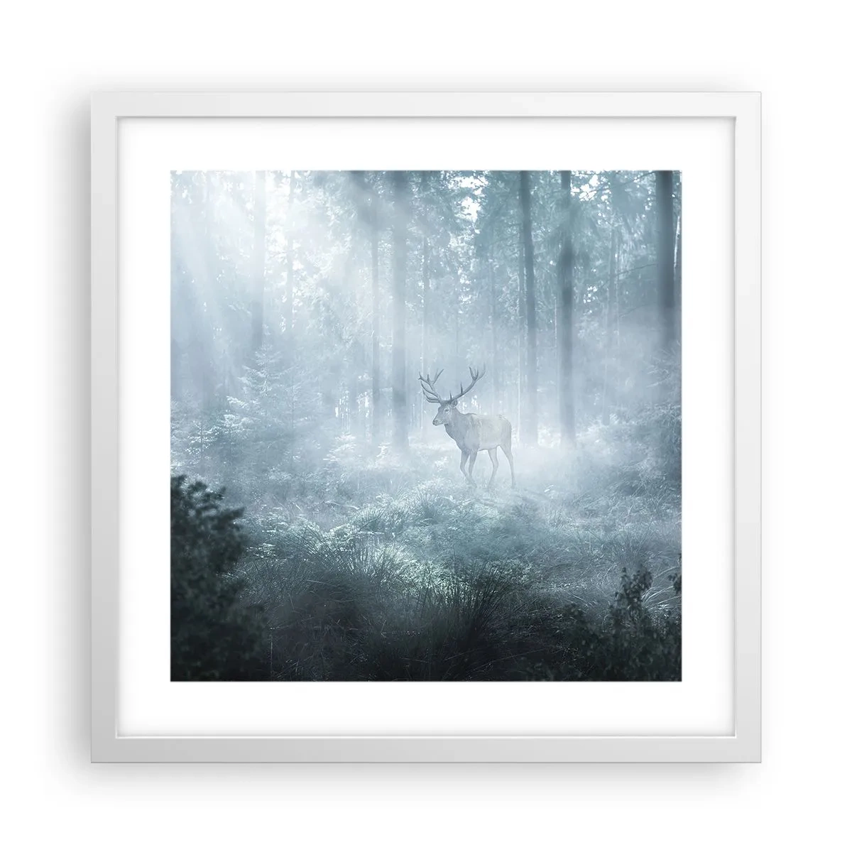 Poster in white frmae - Morning Round of the Estate - 40x40 cm