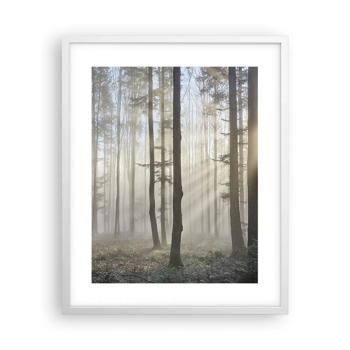 Poster in white frmae - Fog Has Woken up Too - 40x50 cm
