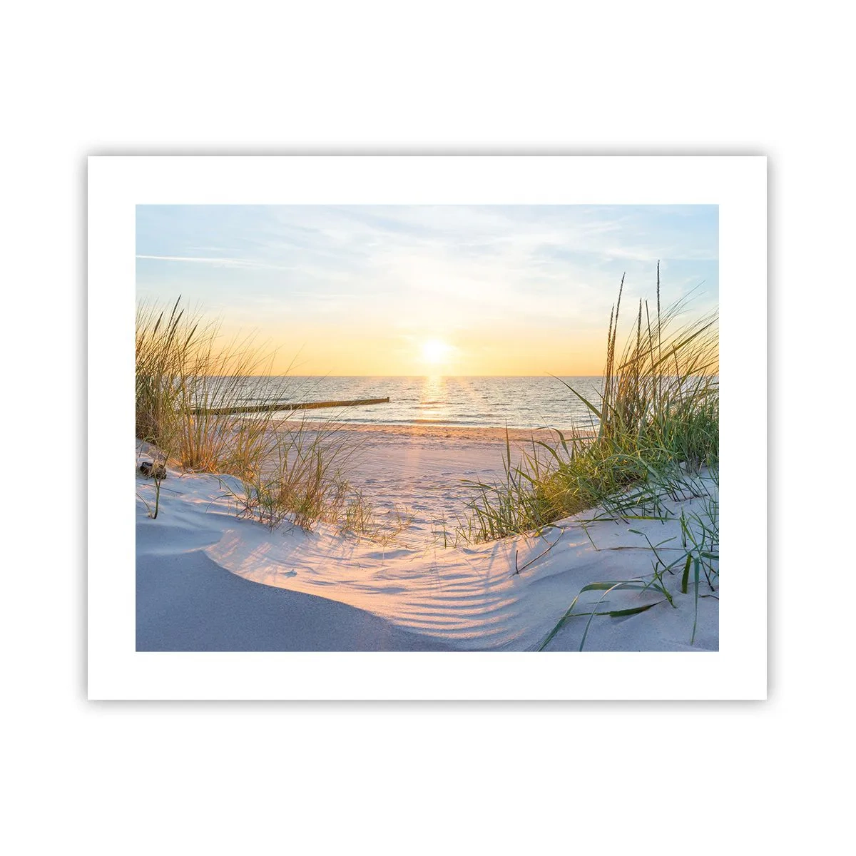 Poster - Sound of the Sea, Singing of the Birds, Wild Beach among Grass - 50x40 cm