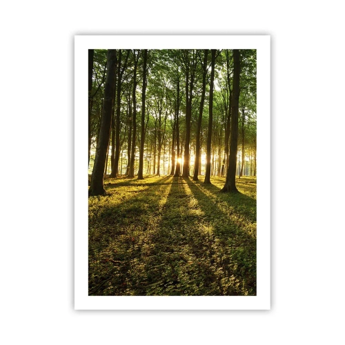 Poster - Photography of All Springs - 50x70 cm