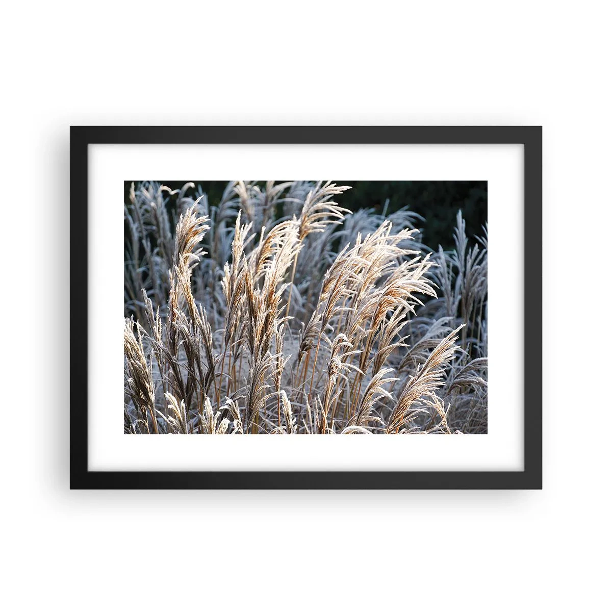 Poster in black frame - Decorated with Frost - 40x30 cm
