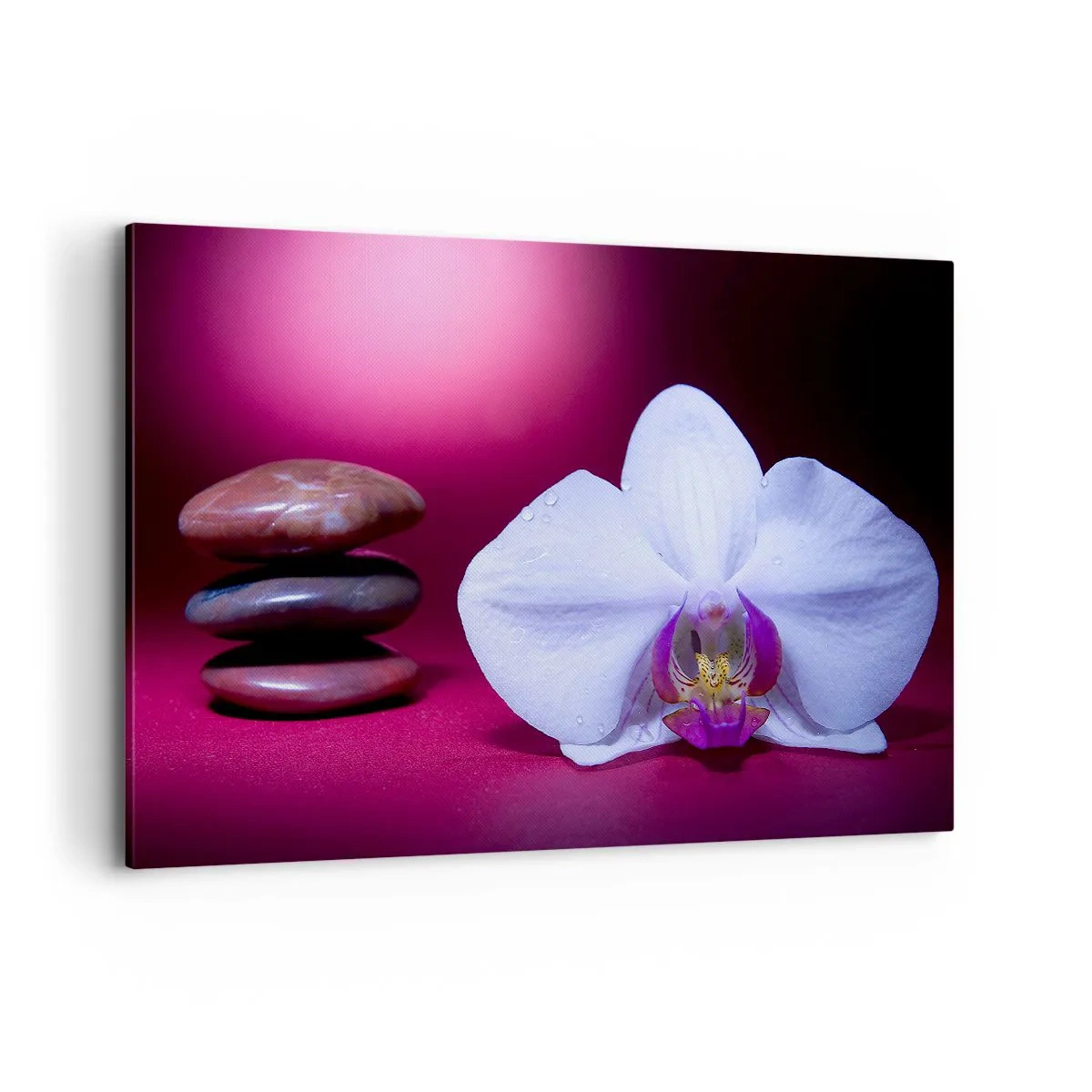 Canvas picture - Study of Freshness in Purple - 120x80 cm