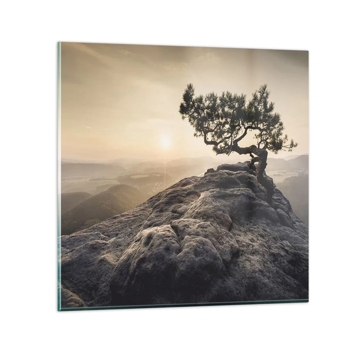 Glass picture - Life Always Wins - 50x50 cm