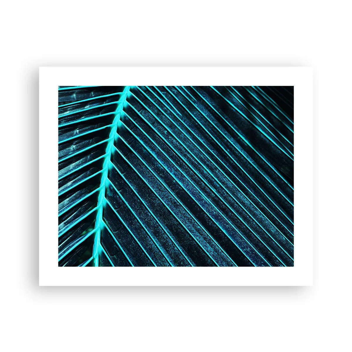 Poster - Texture of Green - 50x40 cm