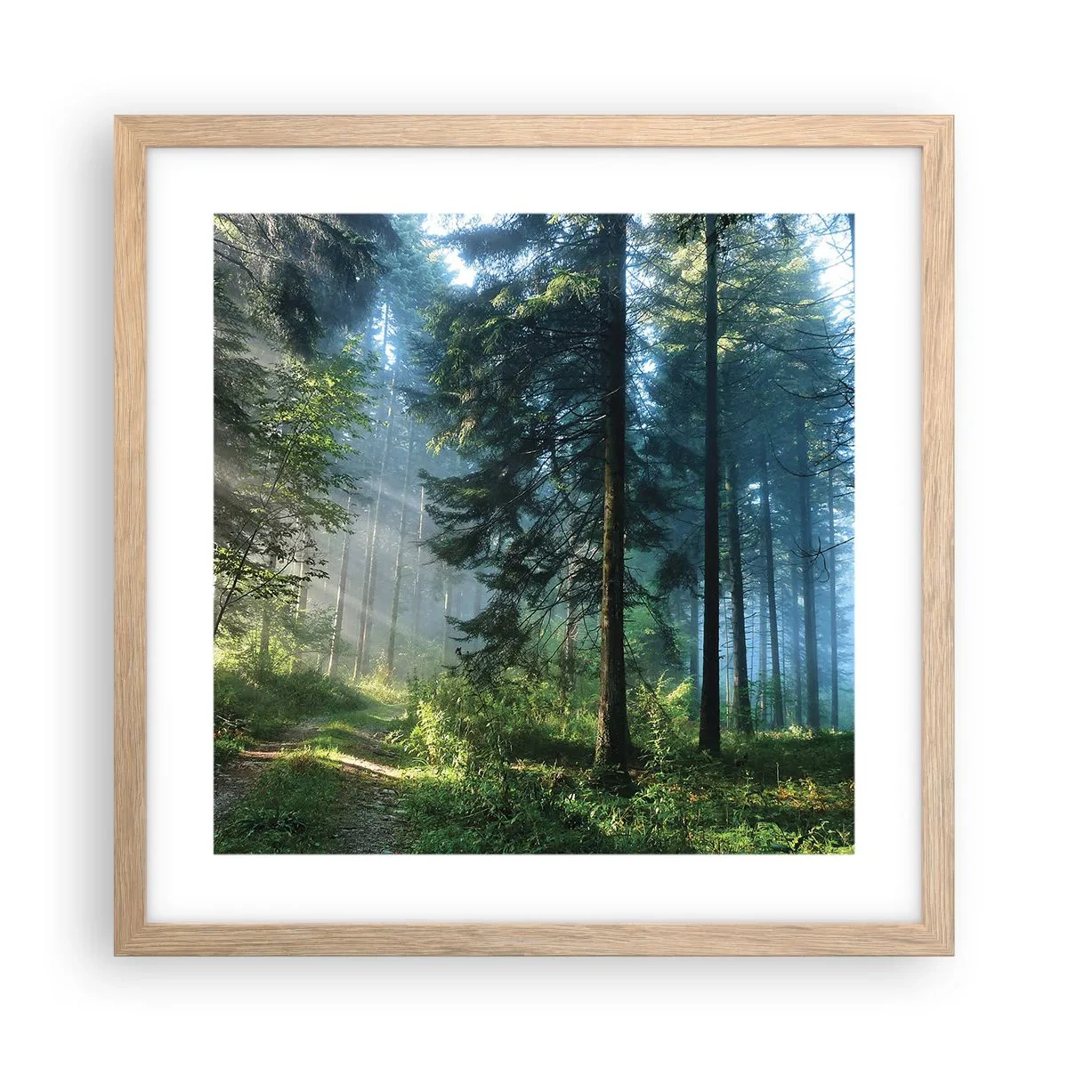 Poster in light oak frame - Radiant at Dawn - 40x40 cm