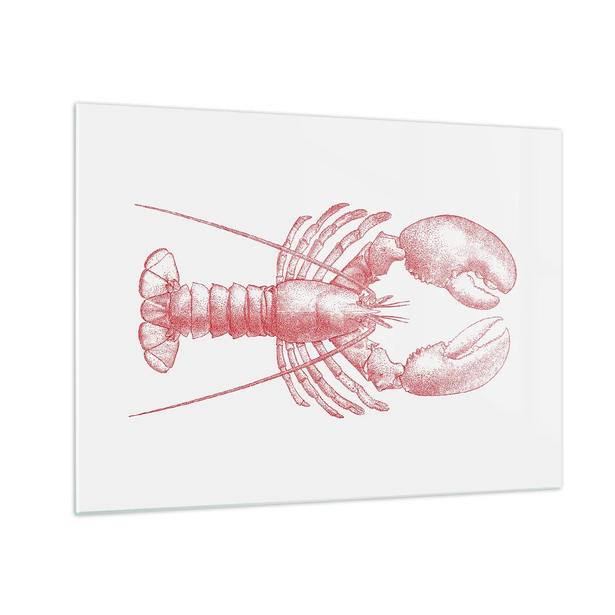 Glass picture - Sketch of a lobster in red on a light background - 70x50cm - Lobster Worthy of a Lobster - Modern wall decoration for the living room and bedroom ARTTOR