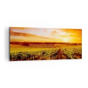 Canvas picture - Delicatly Fruity with a Note of the Sun - 120x50 cm