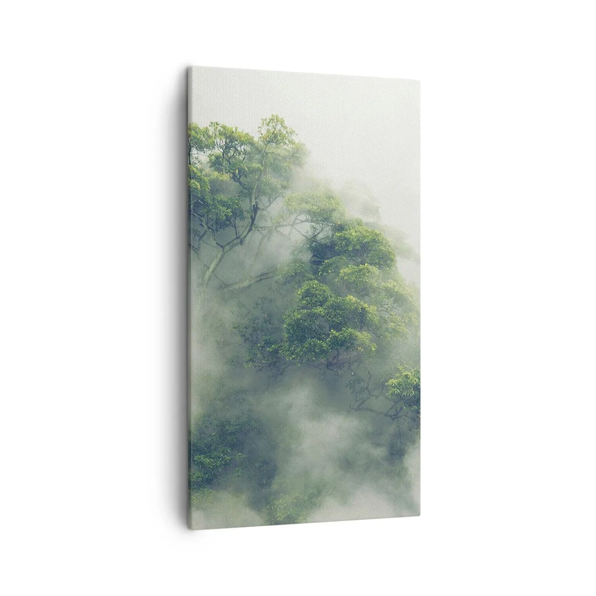 Canvas picture - Wrapped In Fog - 45x80 cm