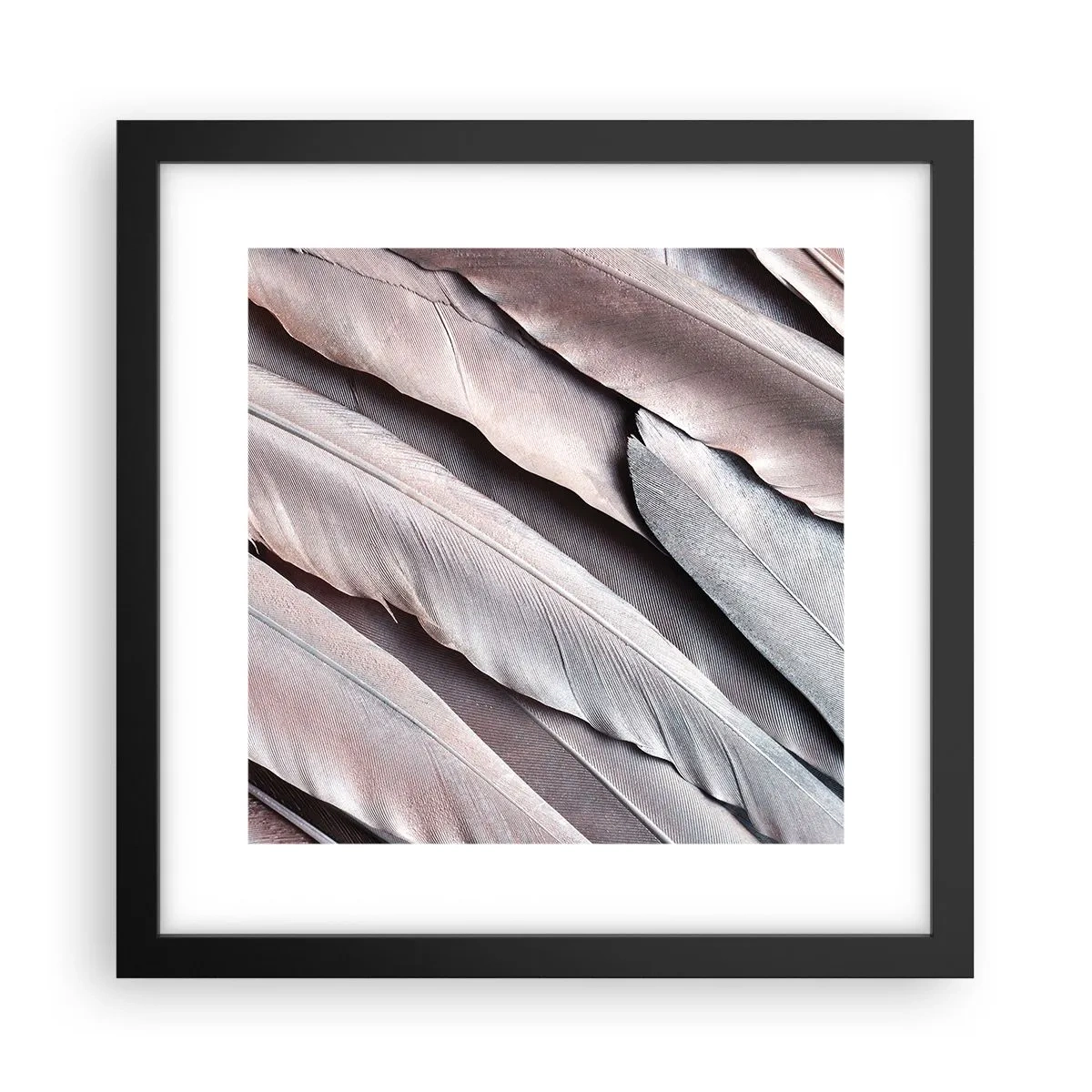 Poster in black frame - In Pink Silverness - 30x30 cm
