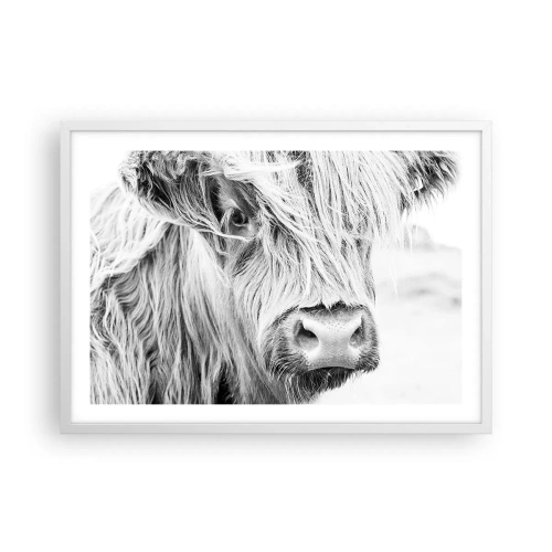 Poster in white frmae - Scottish Wilderness - 70x50 cm