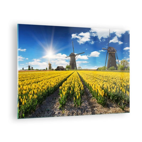 Glass picture - A field of yellow tulips with windmills in the background on a sunny day. - 70x50cm - It Can't Be More Dutch - Modern wall decoration for the living room and bedroom ARTTOR
