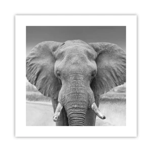 Poster - Welcome to My World - 40x40 cm