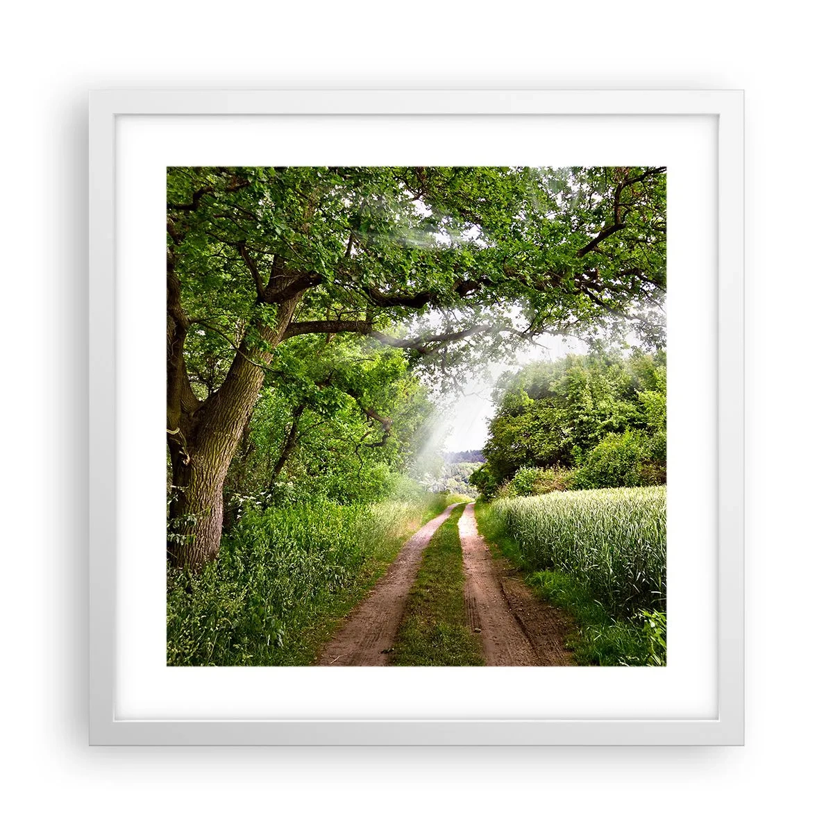 Poster in white frmae - Et in Arcadia Ego - 40x40 cm