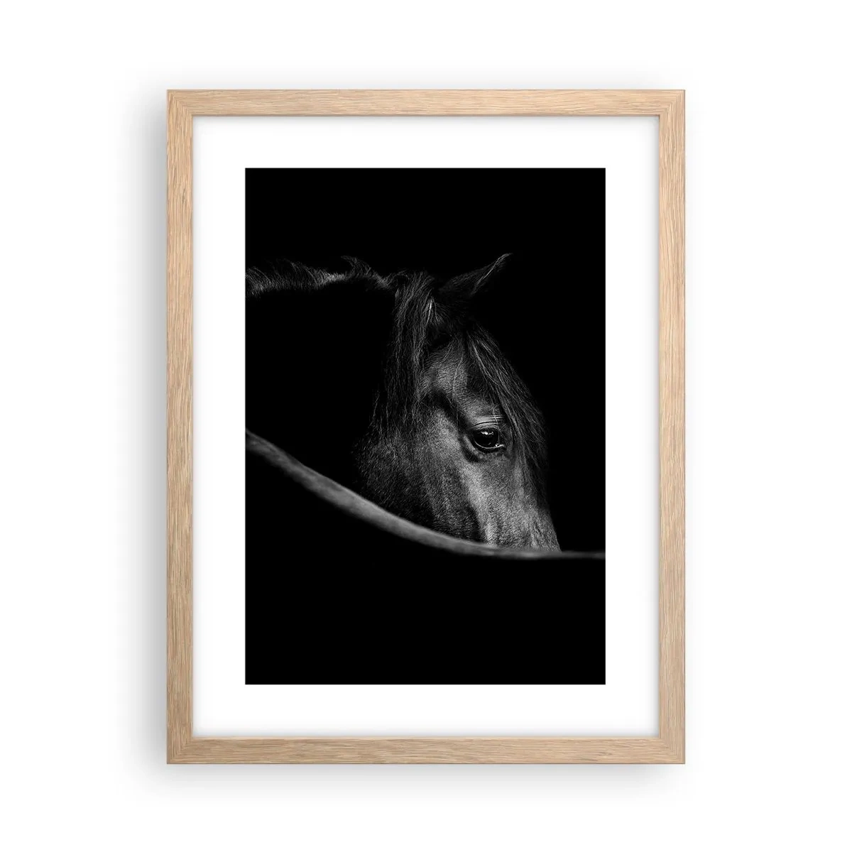 Poster in light oak frame - Black Prince - 30x40 cm