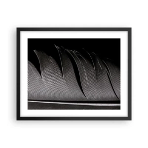 Poster in black frame - Feather - Wonderful Constract - 50x40 cm