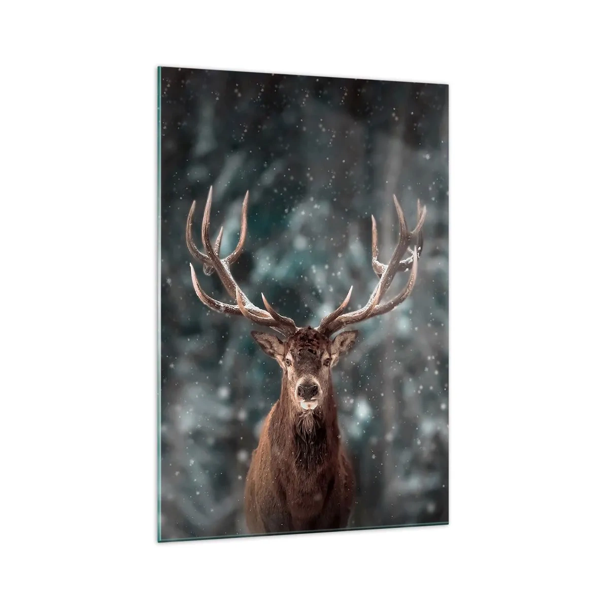 Glass picture - King of Forest Crowned - 70x100 cm
