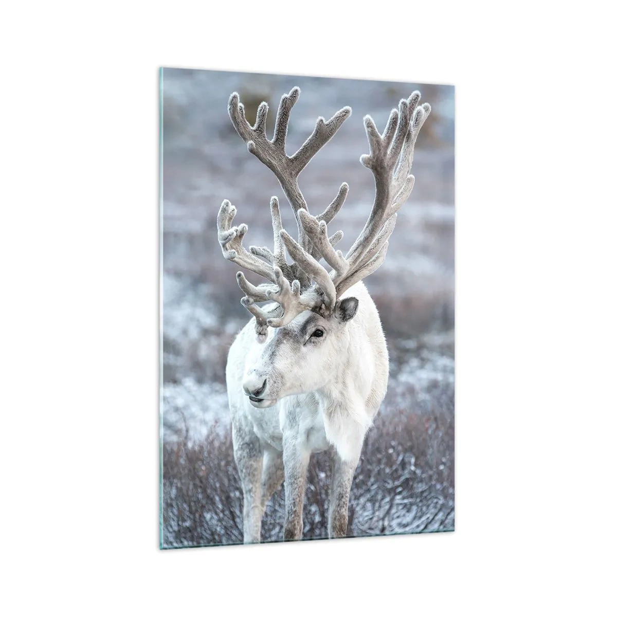 Glass picture - Portrait in the Sun - 70x100 cm