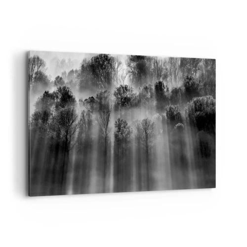 Canvas picture - In the Streams of Light - 120x80 cm